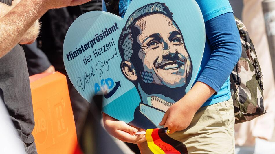 "Katastrophal", "nicht finanzierbar": Experten zerlegen AfD-Wirtschaftskurs