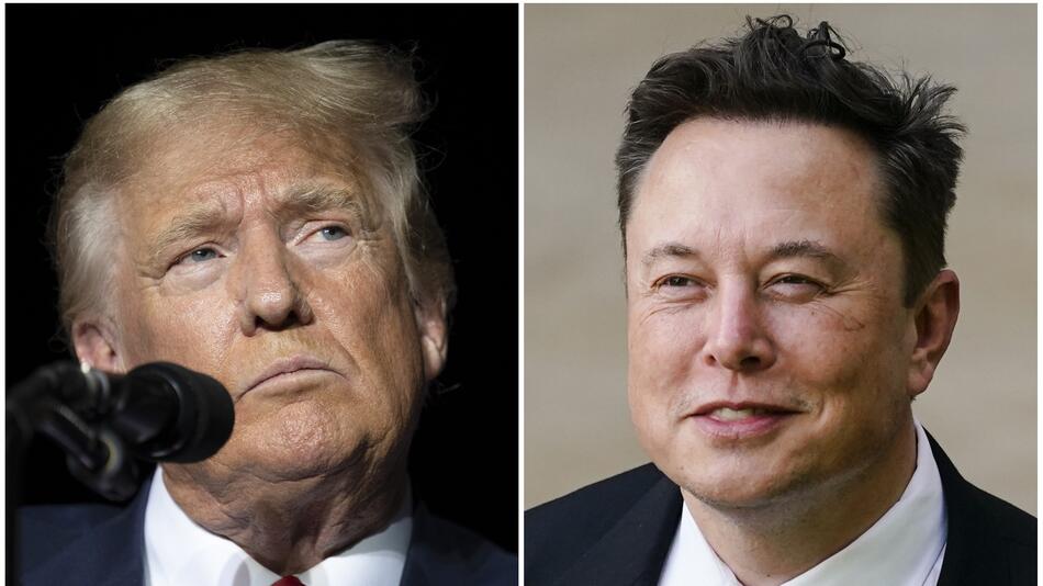 Wahlkampf in den USA - Trump und Musk