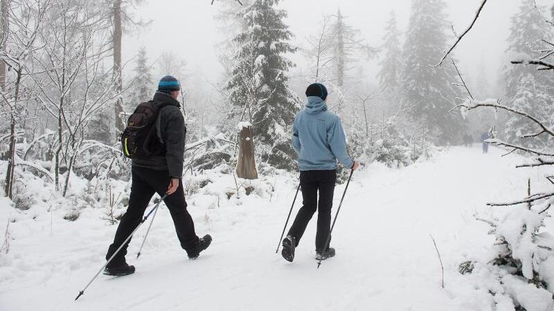 Winter im Nationalpark Harz