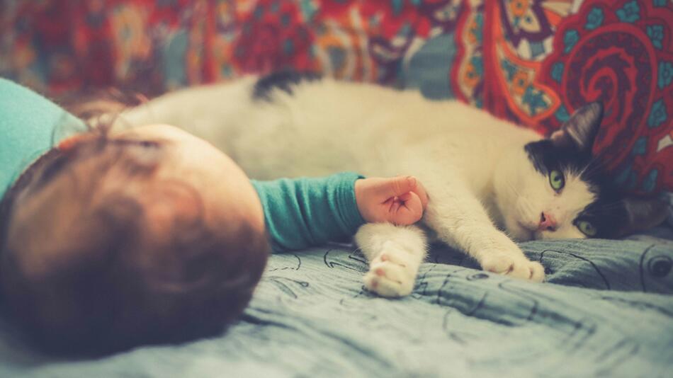 Katzen und Babys können ein gutes Team werden.