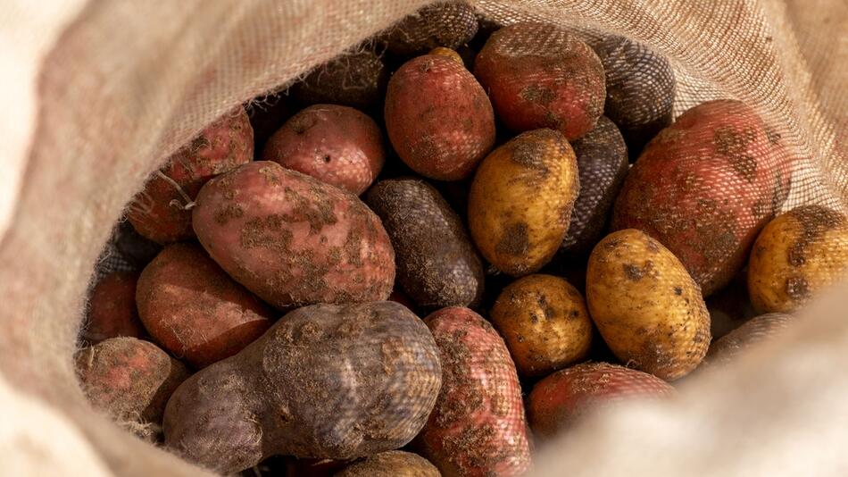 Kartoffeln in einem Sack