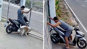 Verrenkungen auf Motorroller: Herrchen stoppt fluchtfreudigen Hund mit schrägem Trick