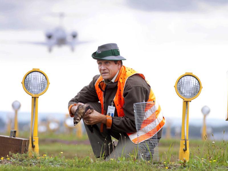 Frettchen Flughafen Köln