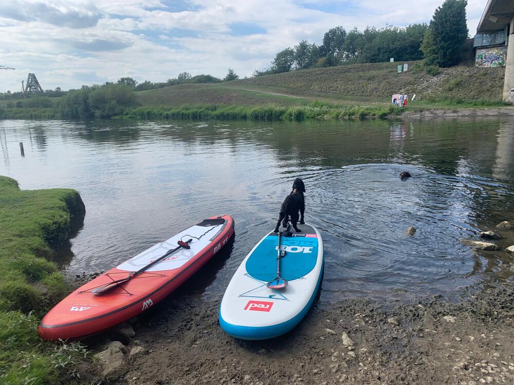 Mach ihn zuerst auf dem Land mit dem SUP vertraut.