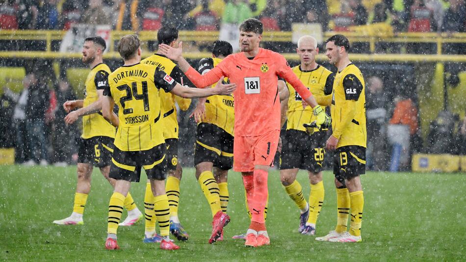 BVB