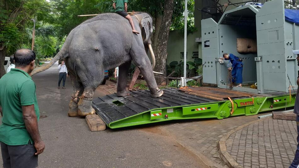 Misshandelter Elefant Sak Surin in Sri Lanka