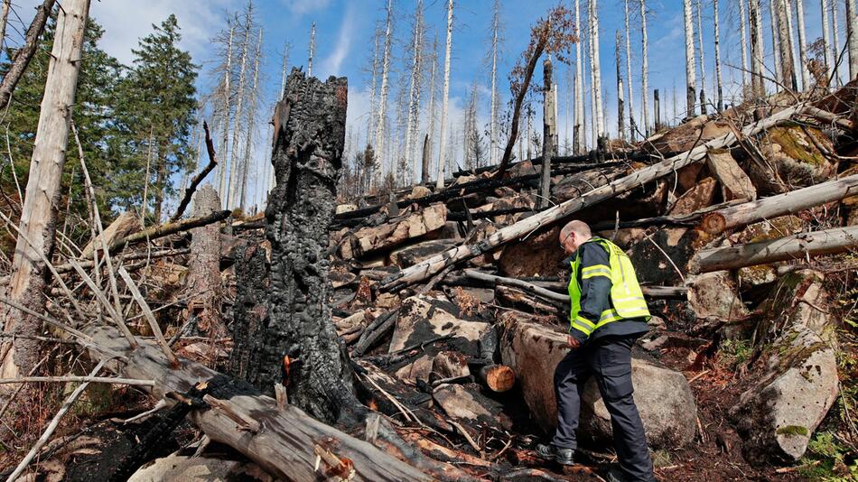 Großbrand am Brocken im Harz