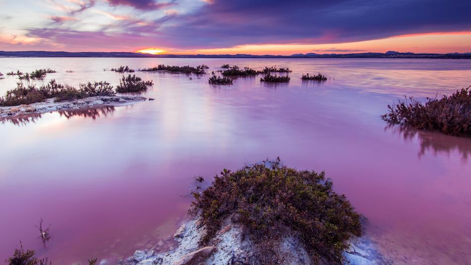 Seltenes Naturspektakel sorgt für Staunen: Pinkfarbener See in Spanien ist natürliches Phänomen