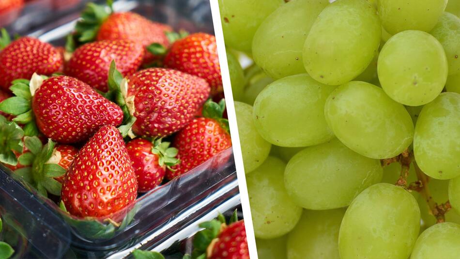 Lebensmittel im August nicht kaufen