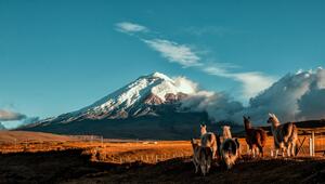 Ecuador 