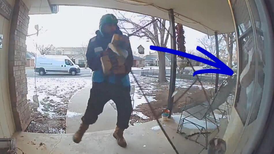 Fliegengitter fliegt aus dem Fenster: Hund erschreckt Paketboten