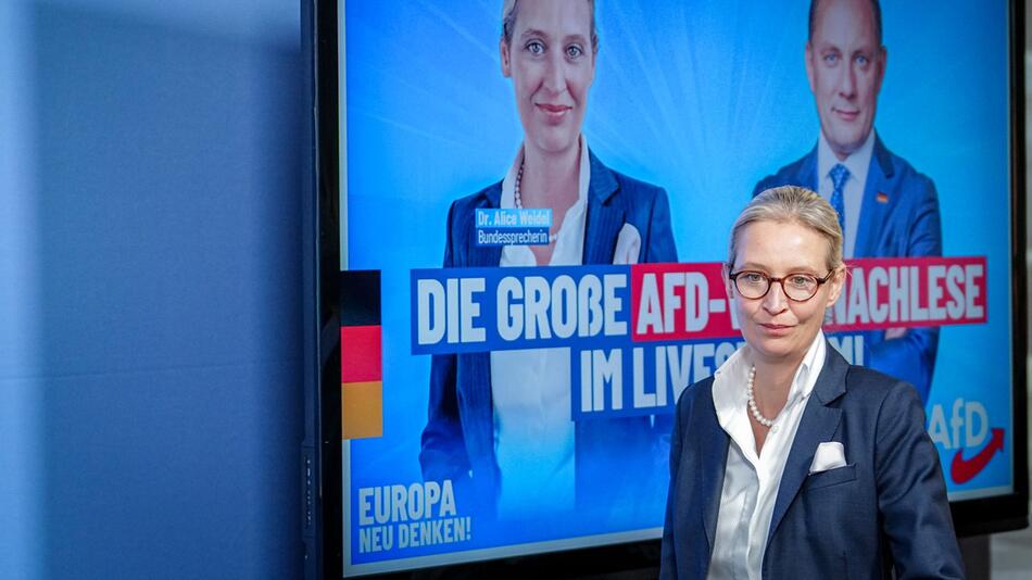 Nach der Europawahl - AfD