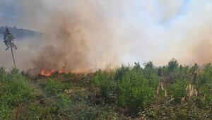 Waldbrand im Sauerland