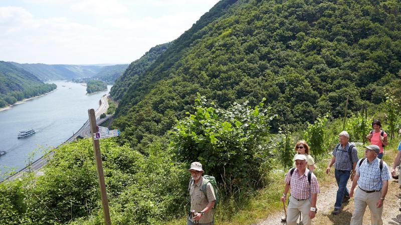 Wandern in Rheinland-Pfalz