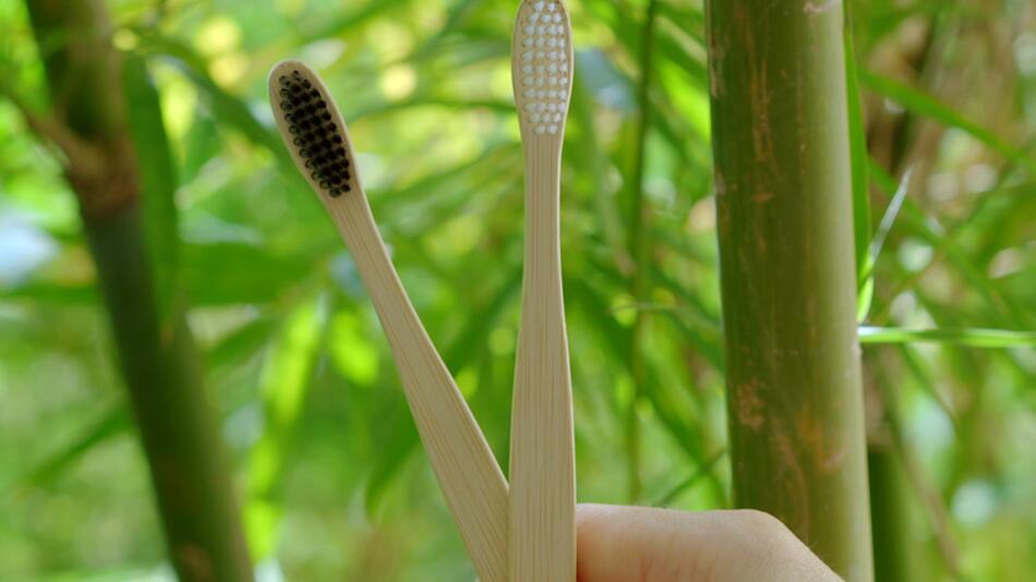 Nachhaltigkeit und Hygiene: Das ist bei Zahnbürsten zu beachten
