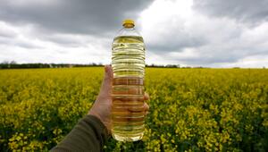 Welches Öl für welchen Zweck? Fünf Sorten im Vergleich