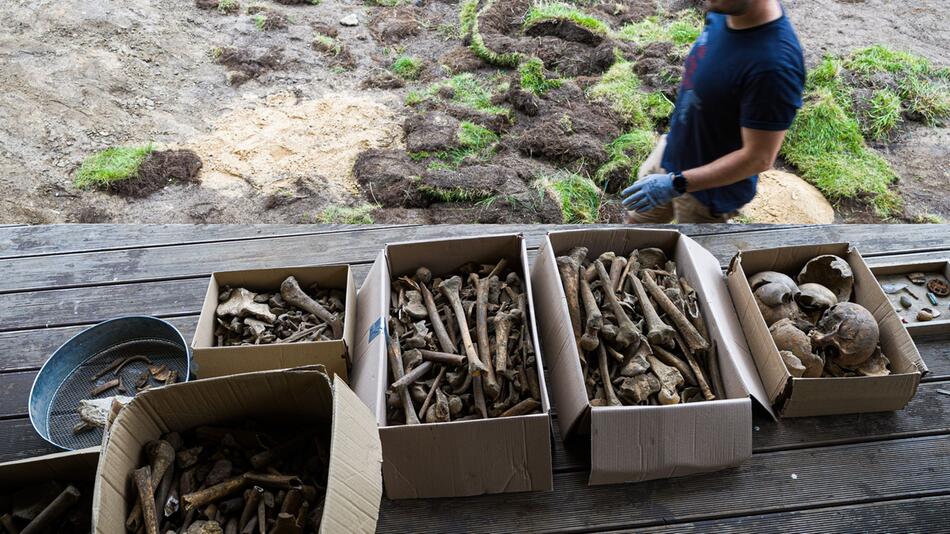 Familie findet kistenweise Knochen im Garten