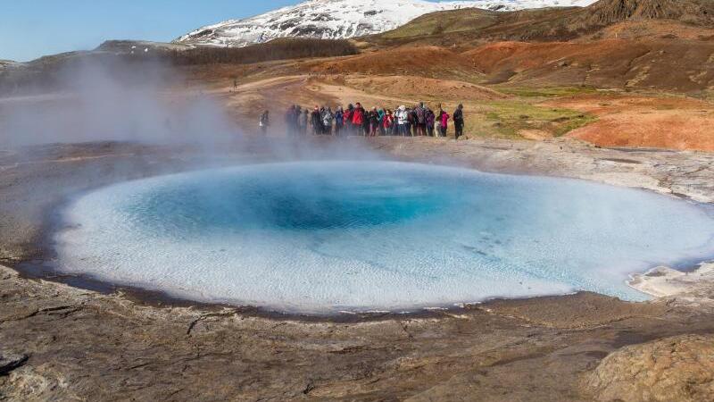 Wilde Natur im Nordatlantik