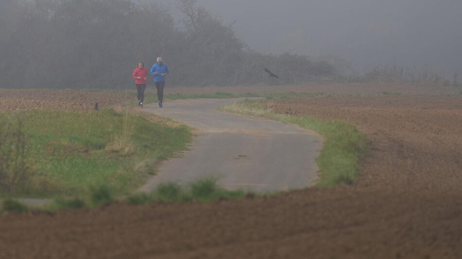 Neblig-trübes und herbstliches Wetter - ab Mittwoch milder