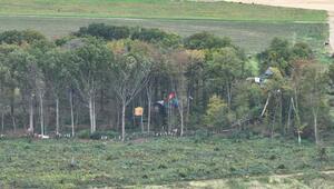 Besetztes Areal am Tagebau Hambach