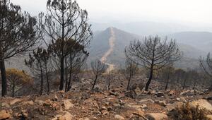 Waldbrand in Spanien