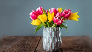 Tulpen gehören zu den beliebtesten Frühlingsboten.