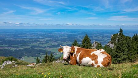 Bis zu 26 Grad – mildes Ferienende in Bayern