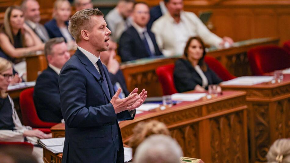 Magyar legt sich mit Ungarns Präsident und Orban-Vertrautem an