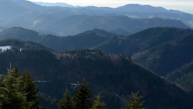 Gute Aussichten für Schwarzwald-Mountainbiker