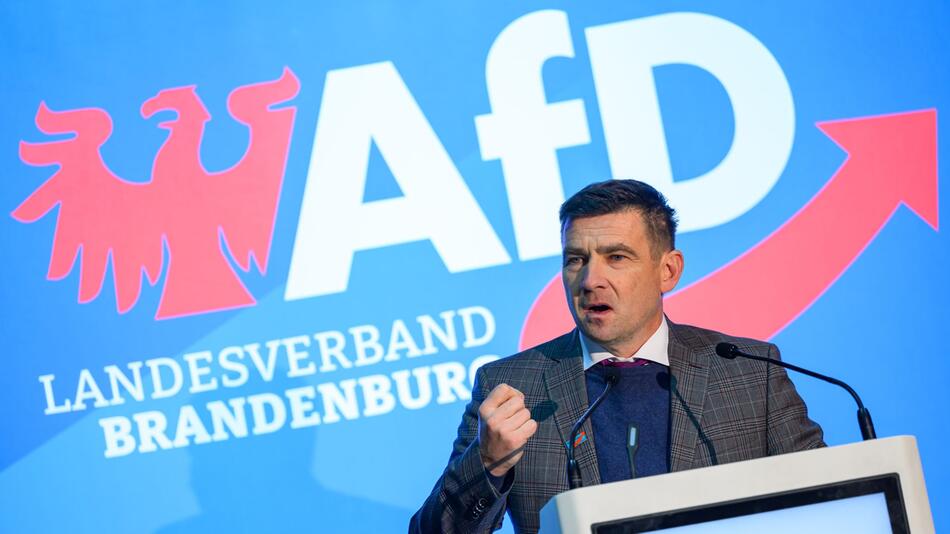 Landesparteitag AfD Brandenburg