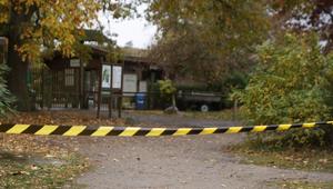 Wolf soll Kind im Wildpark Johannismühle angegriffen haben