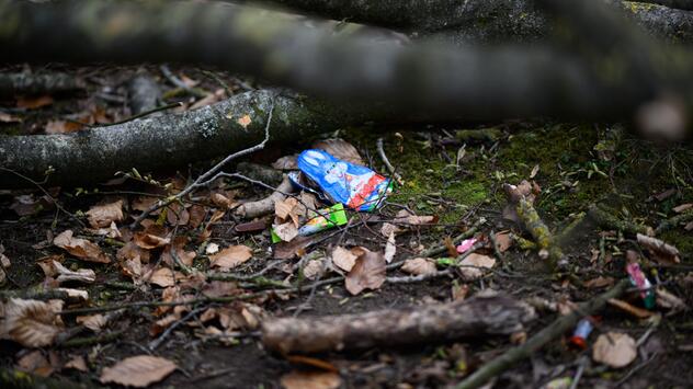 Baum umgestürzt - Drei Tote bei Flensburg