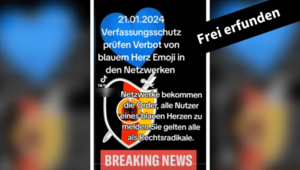 Gefälschtes Bild eines TikTok-Videos über das Verbot blauer Herz-Emojis

