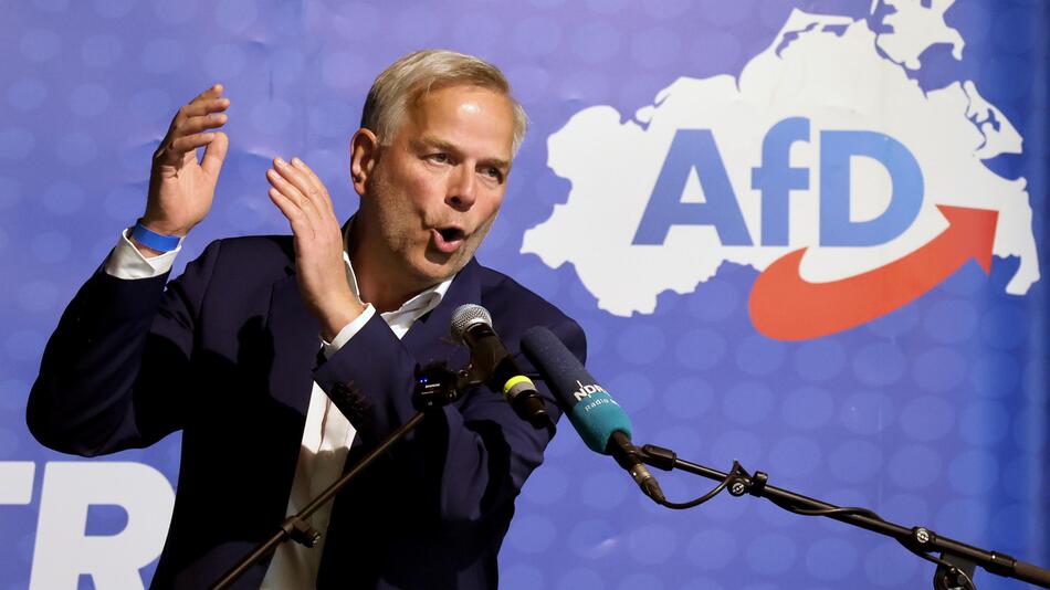 AfD-Mann Leif-Erik Holm: "Brandmauer ist nicht in Stein gemeißelt"