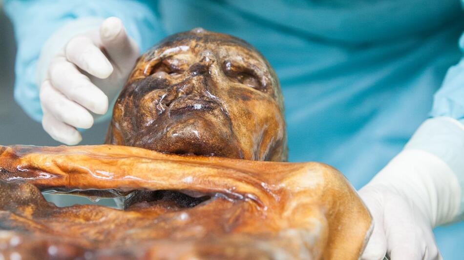 Fund in der Mumie: In Ötzi steckt noch Leben