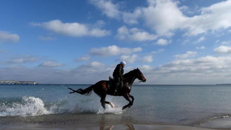 Reiter am Ostseestrand