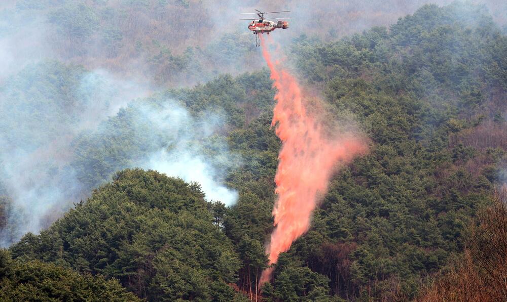 Waldbrände in Südkorea