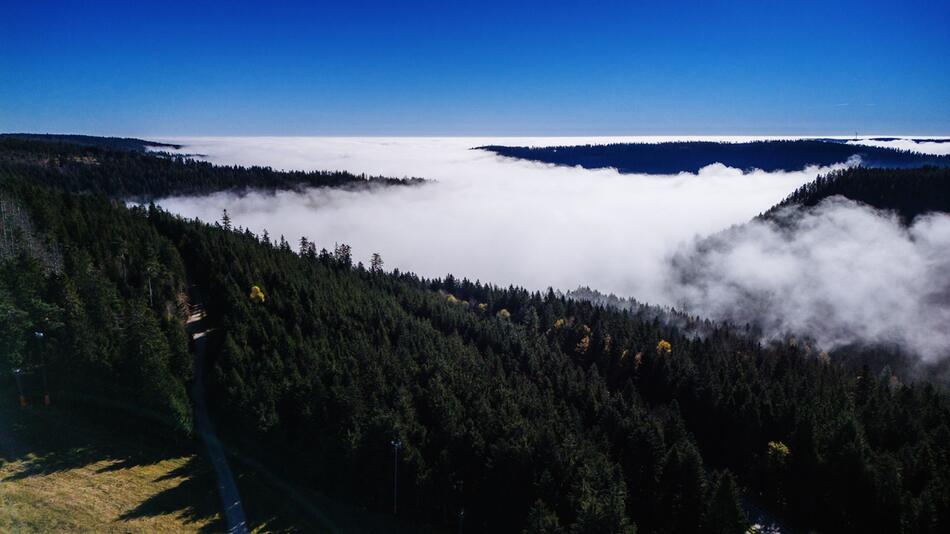 Nationalpark-Erweiterung