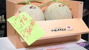 Teuersten Melonen der Welt: Früchte erzielen Rekordsumme in Japan