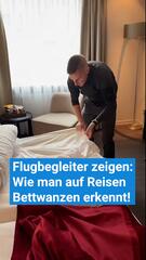 Flugbegleiterin zeigt, wie man auf Reisen Bettwanzen erkennt