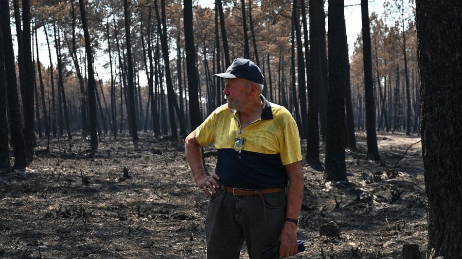 Sein Wald sollte einmal seinen Urenkeln gehören – doch nun ist alles dahin