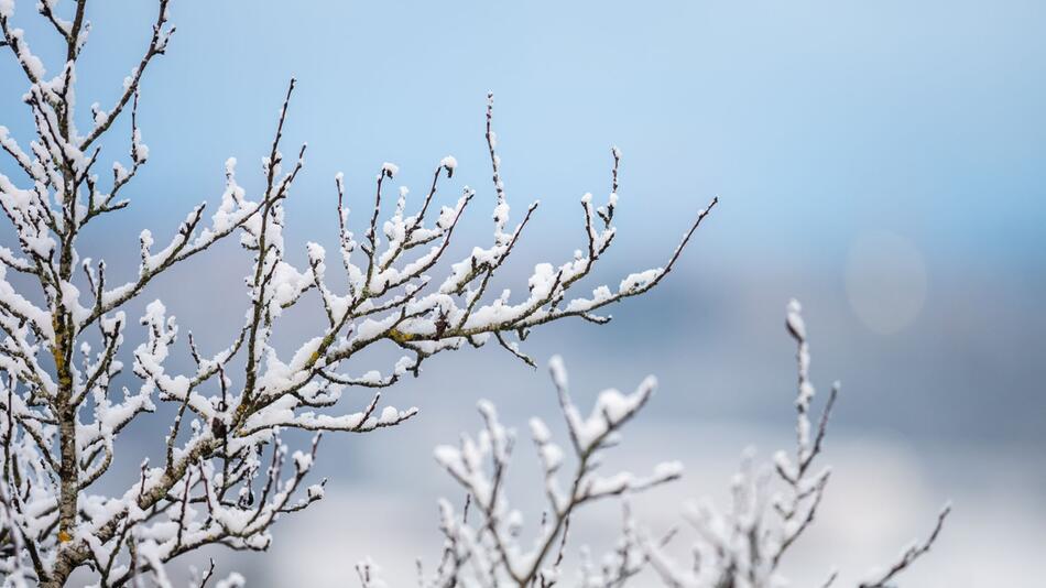 Schneefälle in Baden-Württemberg