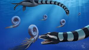 Traskasaura sandrae