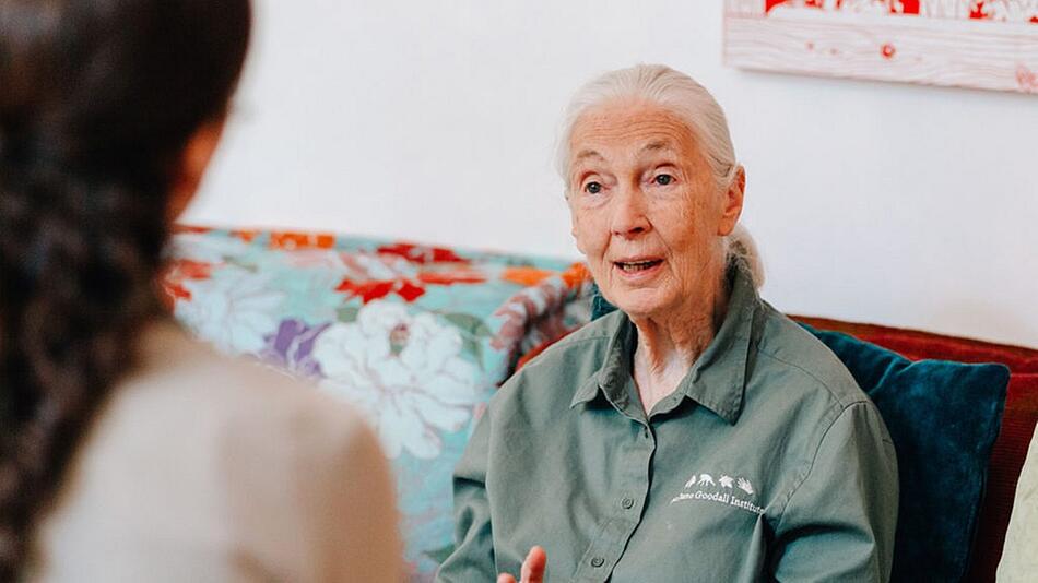 Jane Goodall Interview