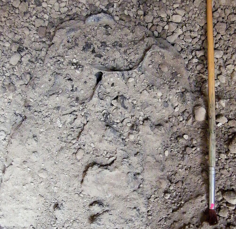 Glasartige Strukturen in Gehirn von Vesuv-Opfer gefunden