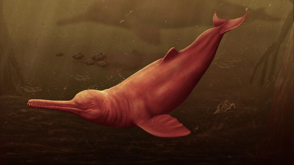 Urzeit-Flussdelfin
