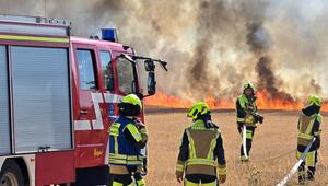 Flächenbrand bei Karlsruhe