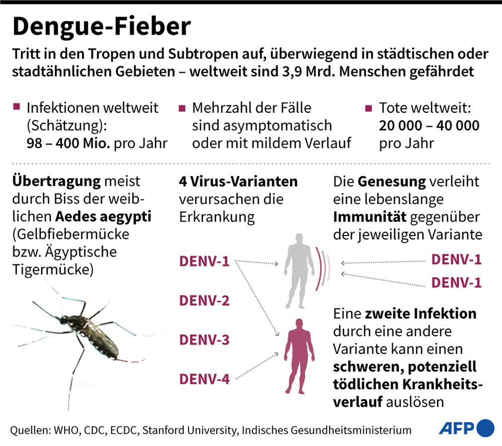 Grafik zum zum Dengue-Fieber