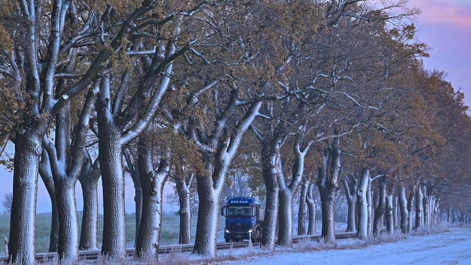 Winter in Brandenburg