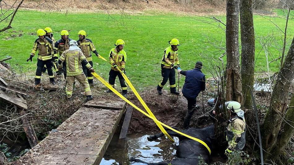 Feuerwehr musste Pferd unter einer Brücke retten.